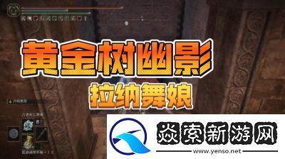 艾尔登法环DLC舞**位置介绍