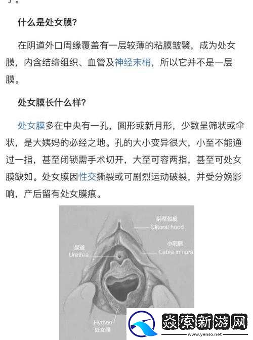 一面亲膜上边奶一个膜边