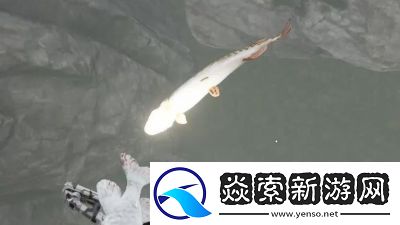 七日世界动物养殖攻略总结【详细推荐】