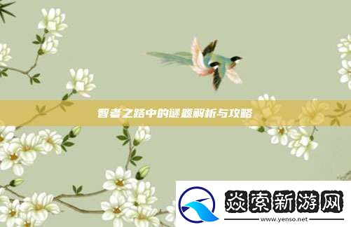 智者之路中的谜题解析与攻略