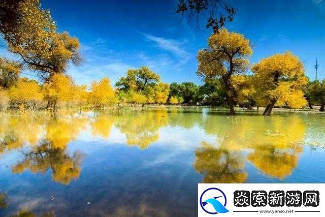 老孙头的春天与林初晴的别样故事