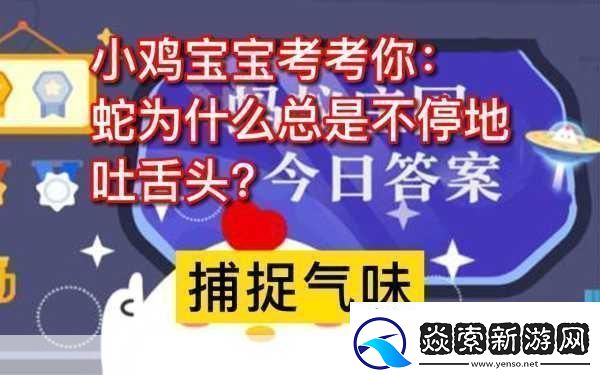 小鸡宝宝考考你