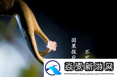 每天都在挨龠中