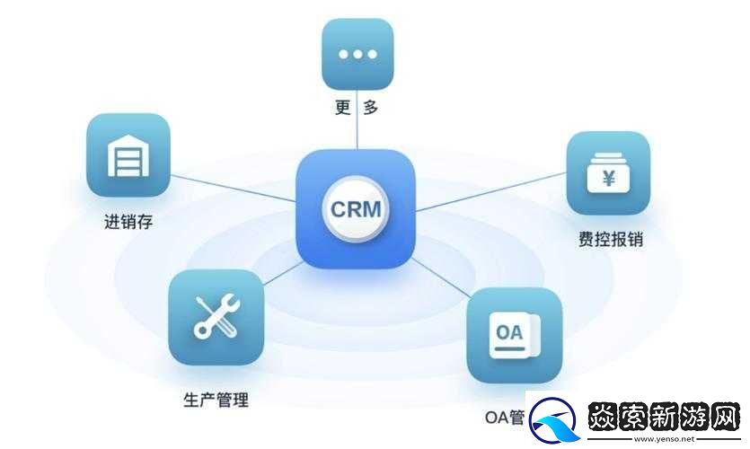 好看的国外crm视频