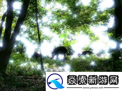 原神中哪里能找到更多的野猪