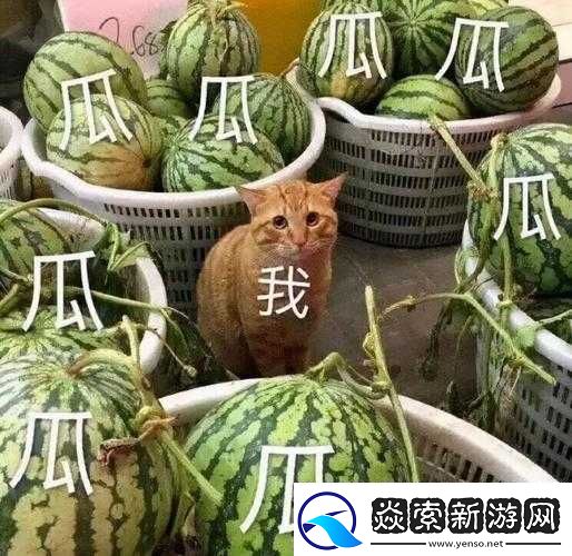 51吃瓜热门吃瓜