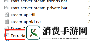 通过零讯在Windows上搭建泰拉瑞亚多人联机游戏超详细指南