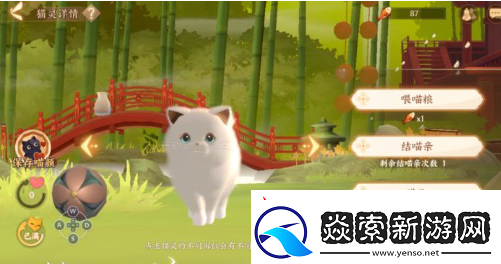 忘川风华录名士猫怎么获得