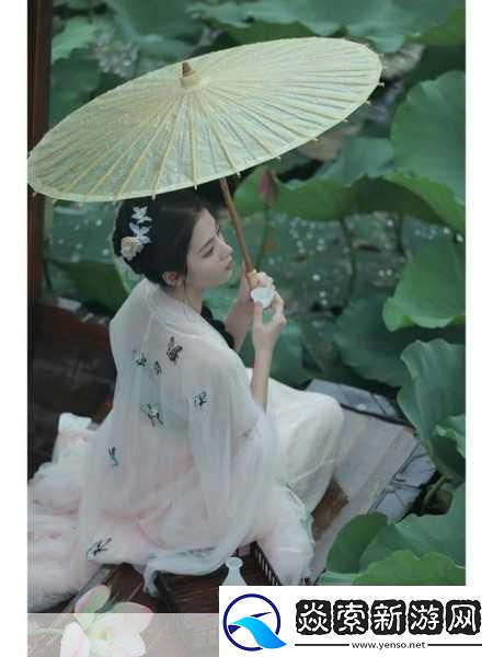 老人船上弄雨荷第十二集跚钢