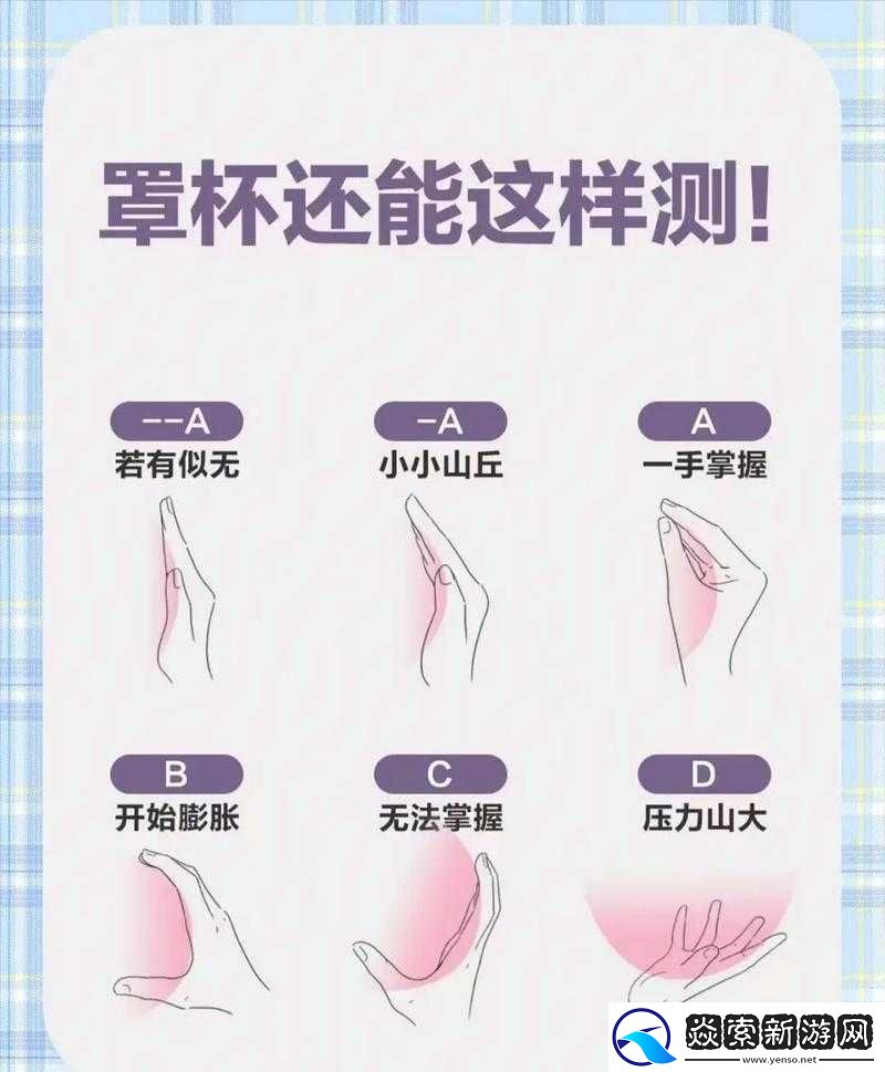 男人喜欢多大胸围的手能握满