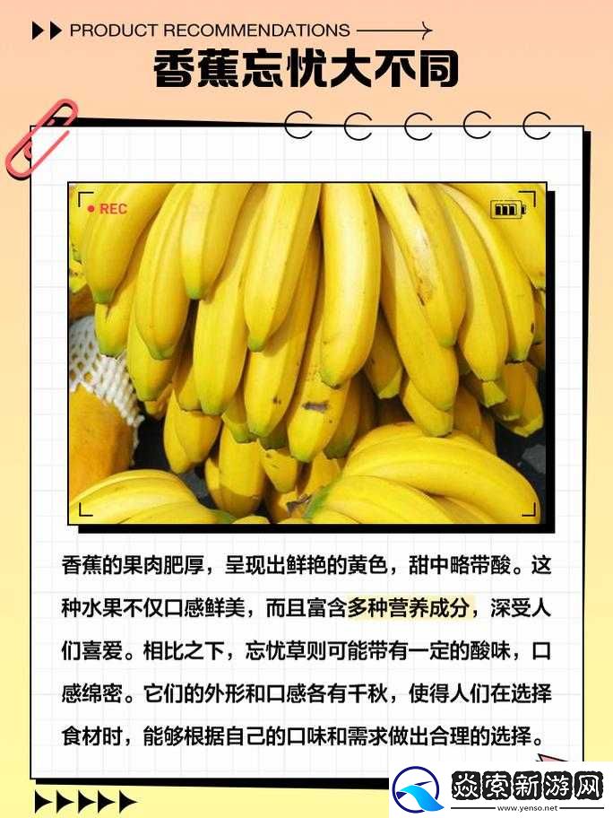 香蕉与忘忧草的区别