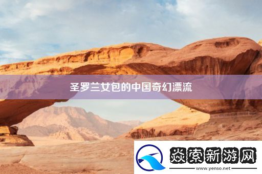 圣罗兰女包的中国奇幻漂流