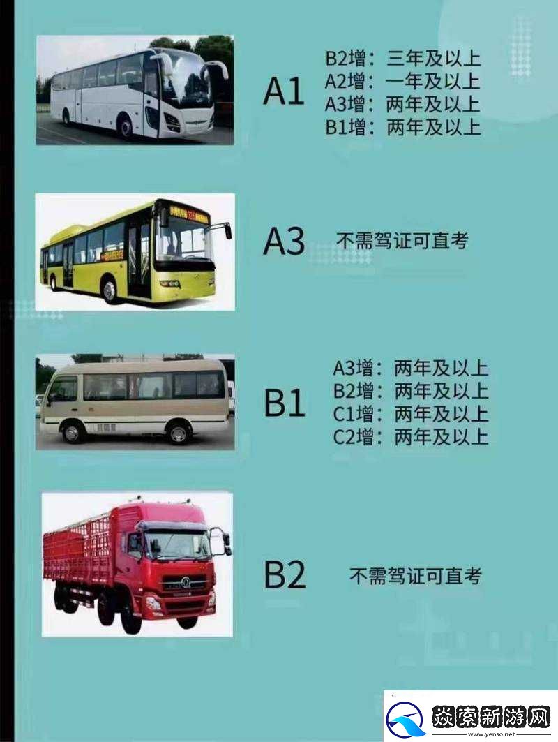 国产A1a2a317c的独特魅力与价值