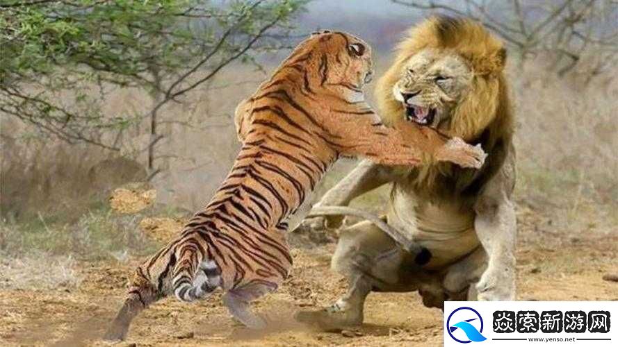 四个和尚大战王氏