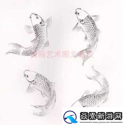 鲤鱼吸水怎么练的图片视频