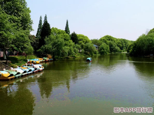 创新策略引领胜利之路