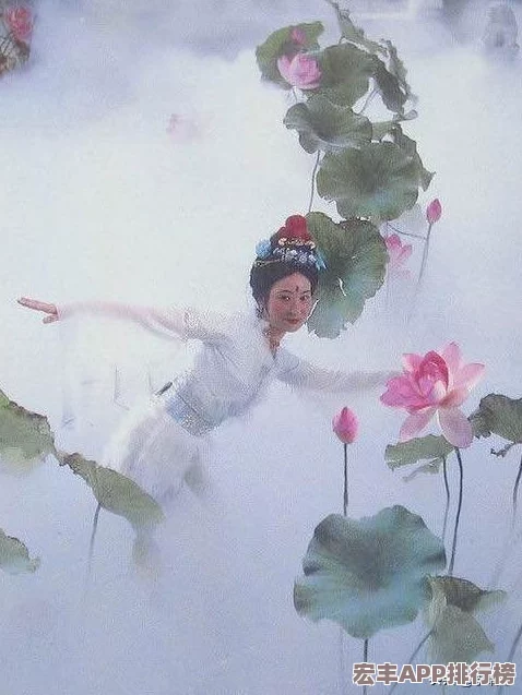 云中仙鹤翩然至