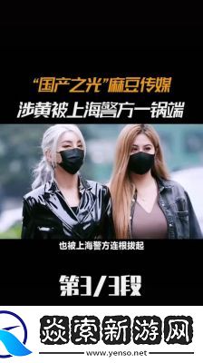 国产麻花豆传媒MV的光明前景