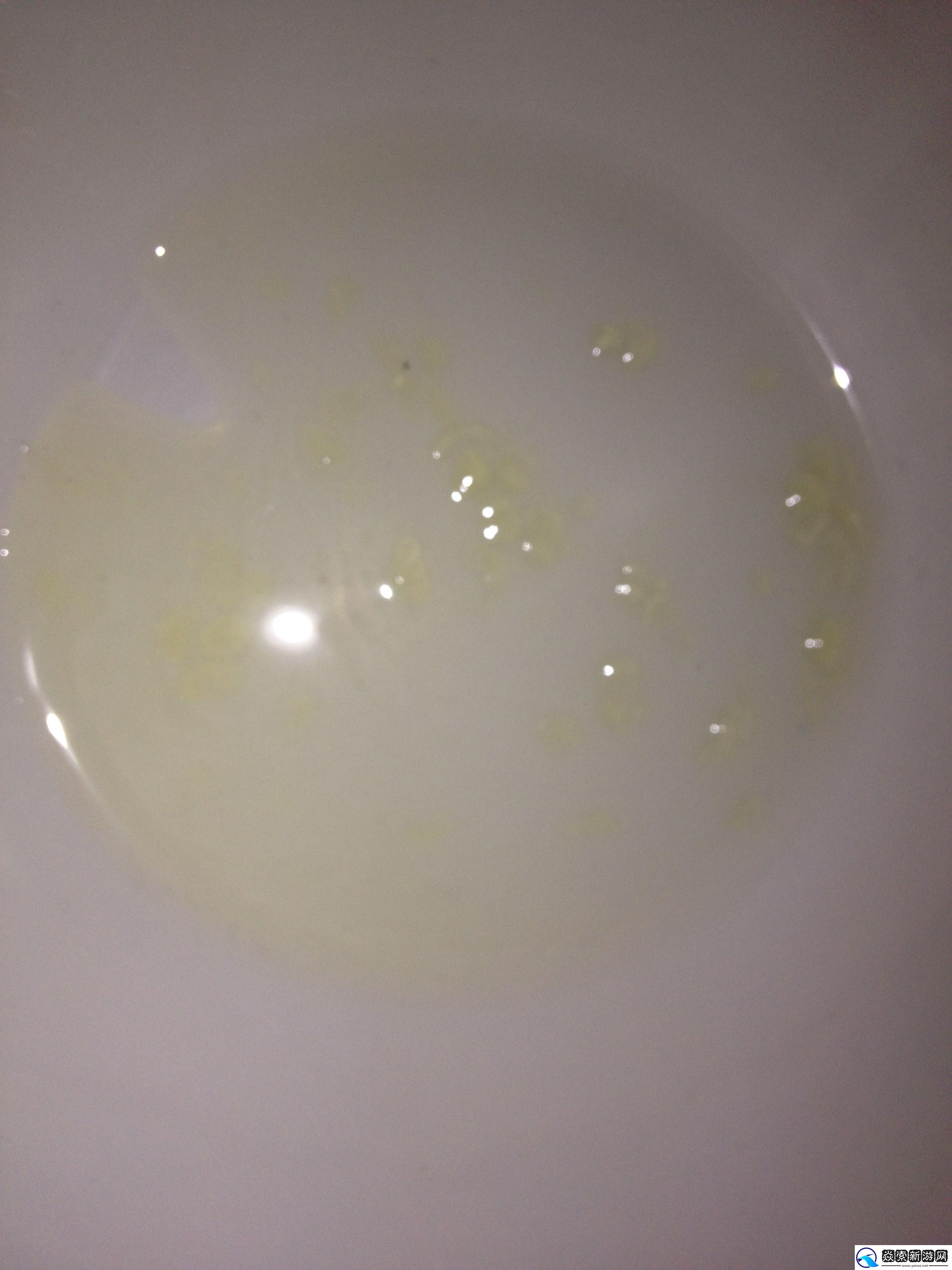 “流出”的奥秘