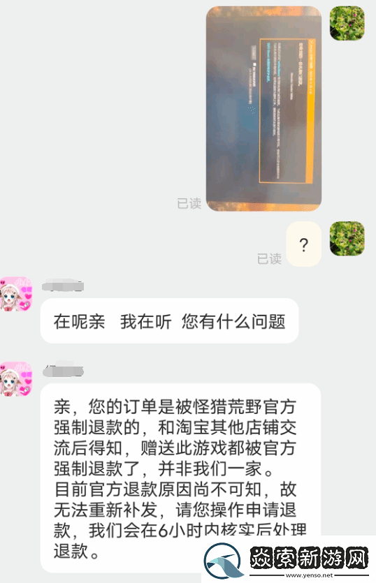 玩家淘宝买怪猎荒野遭退款