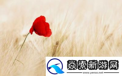 描写很细的鱼水之欢