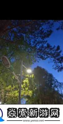 夜晚的路灯下总有人在散步公测时间方法揭秘!