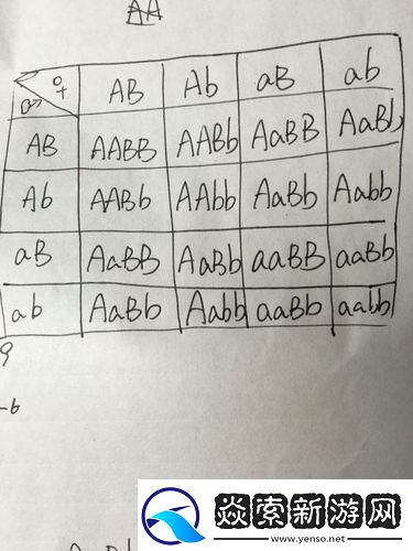 AABB与AAAA的差异