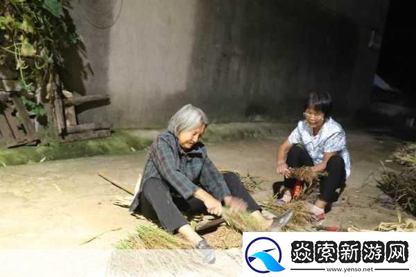 耕耘大婶的肥沃的土地