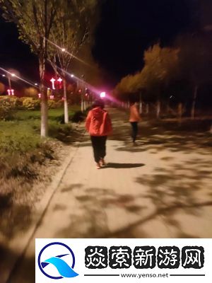 夜晚的路灯下总有人在散步公测时间方法揭秘!