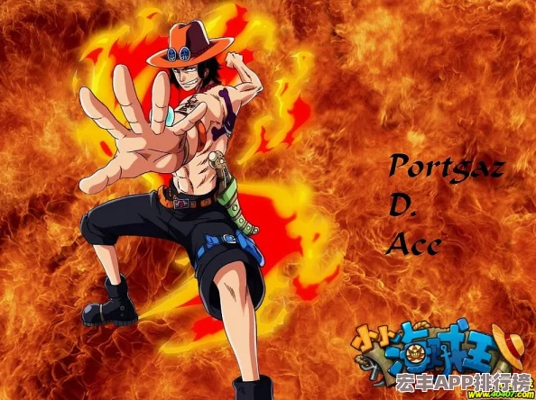 海贼王征途揭秘