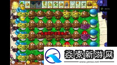 植物大战僵尸杂交版保龄球彩蛋介绍指南