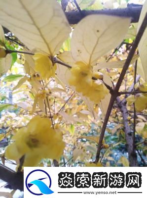 一晚上梅开八度有什么影响