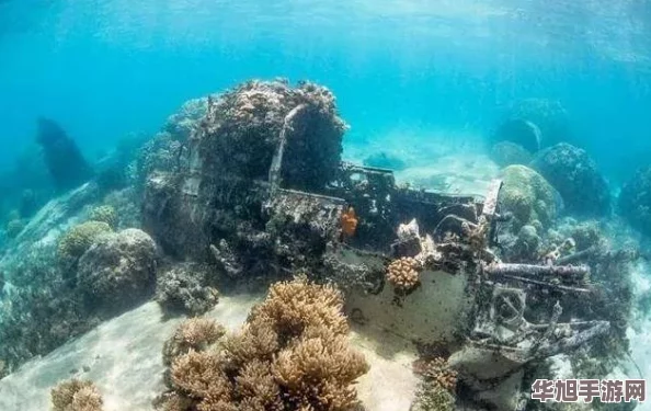 海洋守护者行动