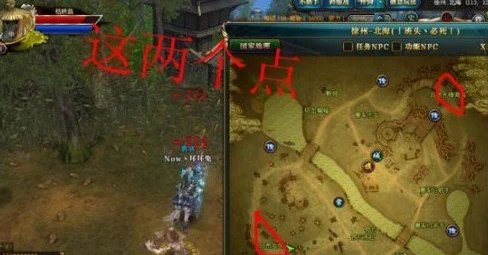 御龙在天手游独家攻略