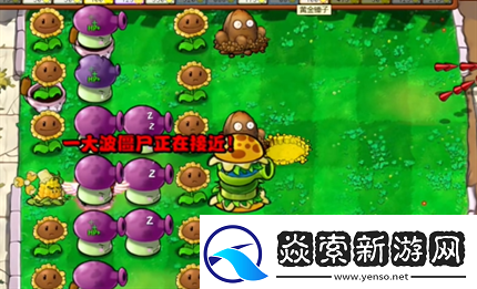 pvz杂交版英雄模式公主驾到通关详解