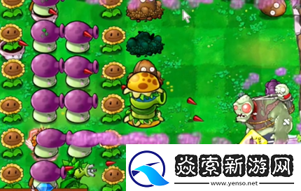 pvz杂交版英雄模式公主驾到通关详解