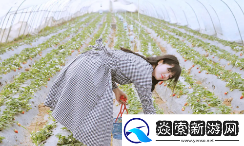 欧洲尺码日本尺码专线不卡顿直达时尚前沿