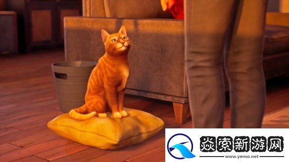 奇异人生评价两极分化