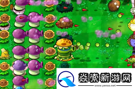 pvz杂交版英雄模式公主驾到通关详解