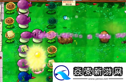 pvz杂交版英雄模式公主驾到通关详解