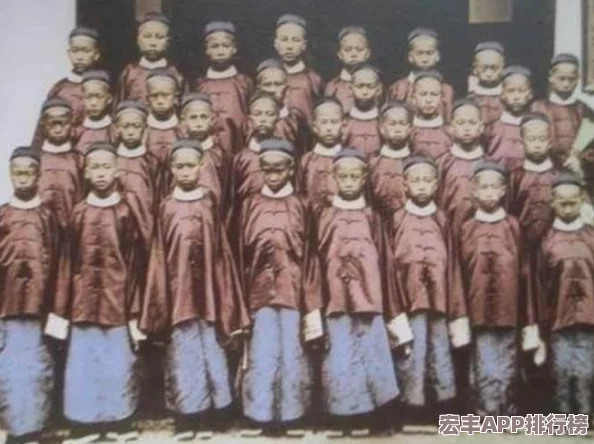 口袋妖怪对战新纪元