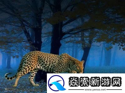 好大赛的满满的视频