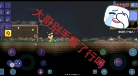 泰拉瑞亚探险新纪元