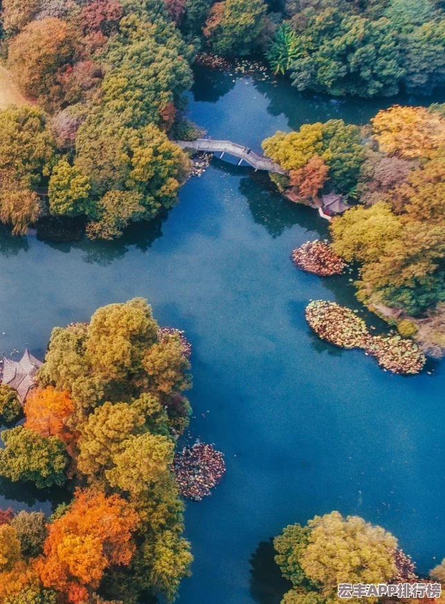 江湖侠客令安卓新区