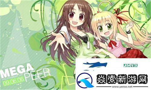 中国高清windows软件的多样选择与用户反馈