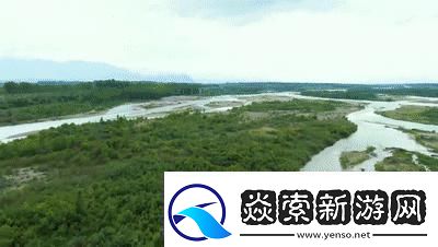 探索免费X站的宝藏