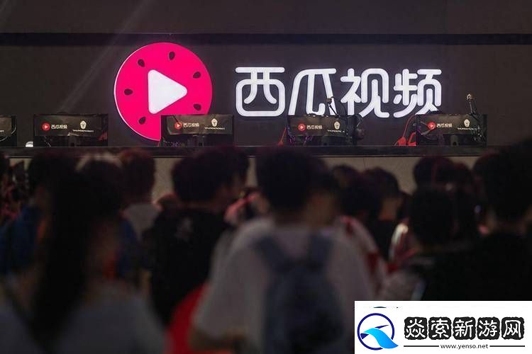 探寻最好看的免费观看西瓜