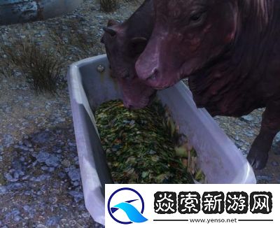 辐射4中的婆罗门饲料槽和养牛攻略