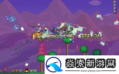 泰拉瑞亚宠物比较与选择指南