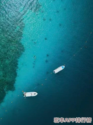 梦幻西游无双版龙宫精英必备